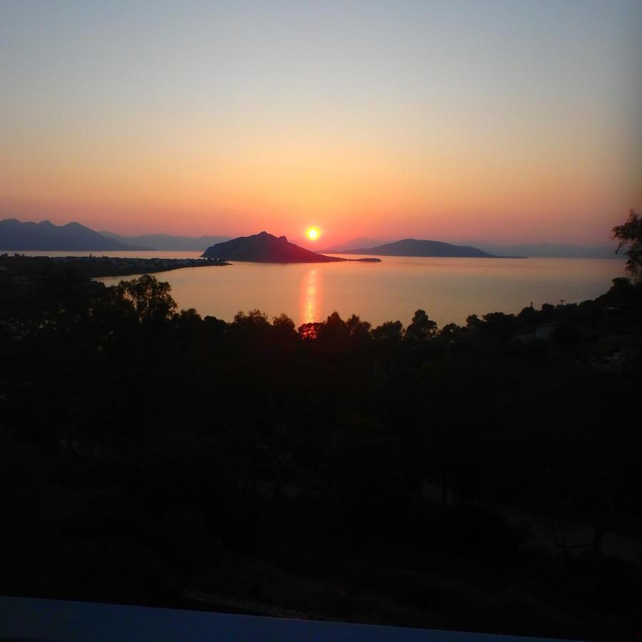 Villa Rodanthos Perdika (Aegina) Exterior foto